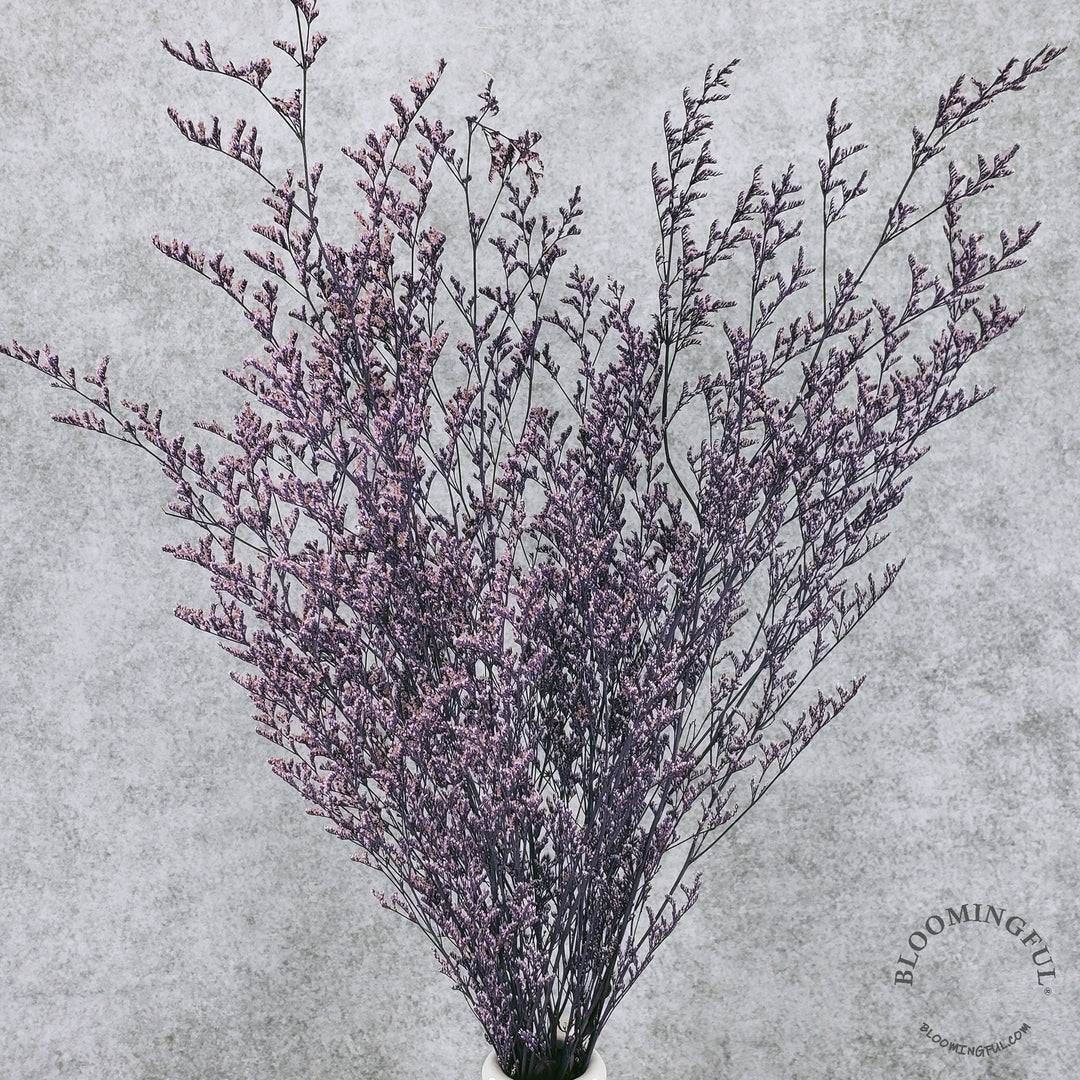 Preserved Caspia Limonium - Purple (008) - BLOOMINGFUL - wedding, event, decor, gift, bouquet, arrangement, bridal, garland, fresh dried preserved artificial silk, birthday housewarming foliage