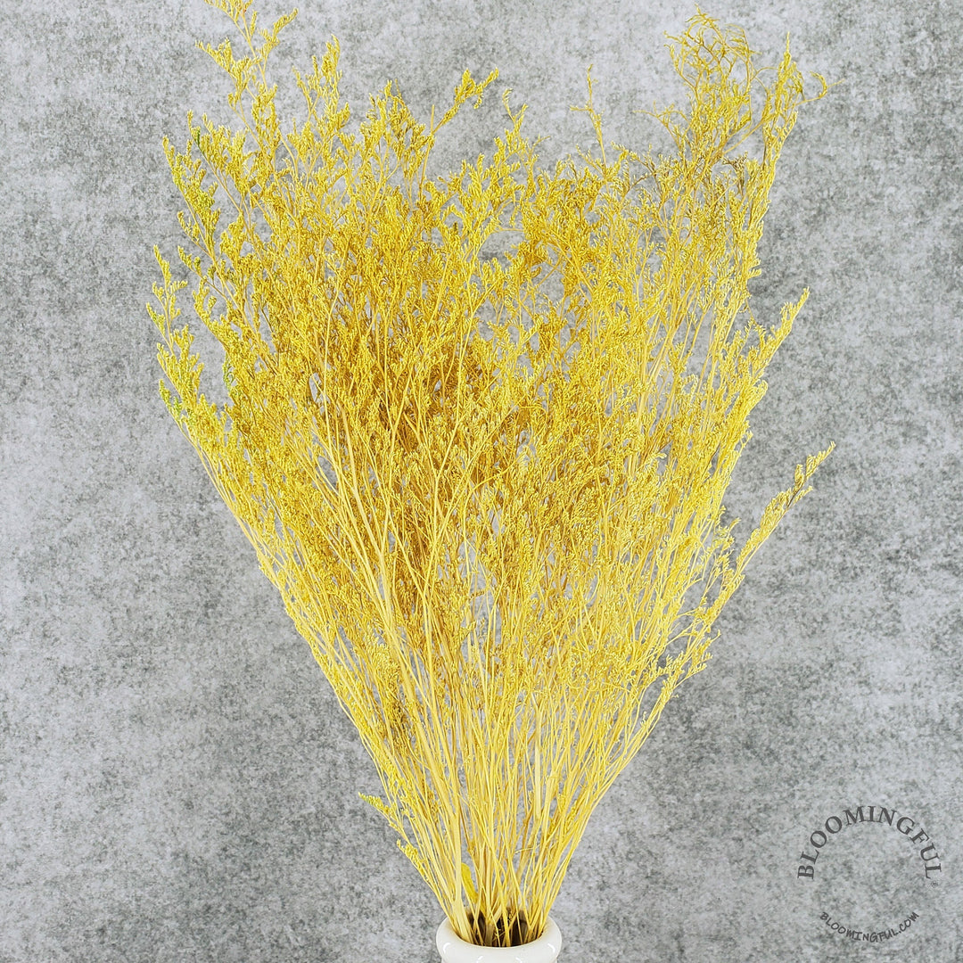 Preserved Caspia Limonium - Soft Yellow (014) - BLOOMINGFUL - wedding, event, decor, gift, bouquet, arrangement, bridal, garland, fresh dried preserved artificial silk, birthday housewarming foliage