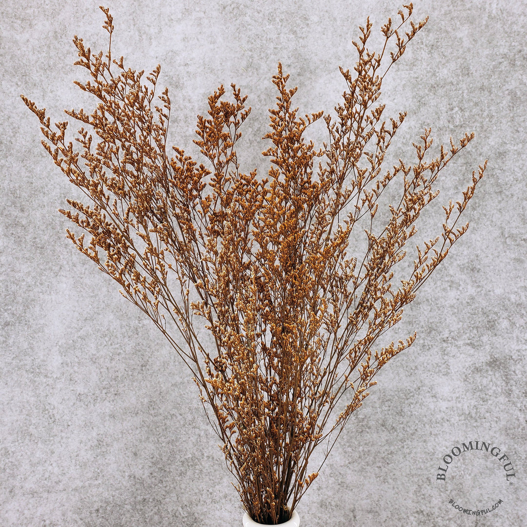 Preserved Caspia Limonium - Terracotta Orange (005) - BLOOMINGFUL - wedding, event, decor, gift, bouquet, arrangement, bridal, garland, fresh dried preserved artificial silk, birthday housewarming foliage