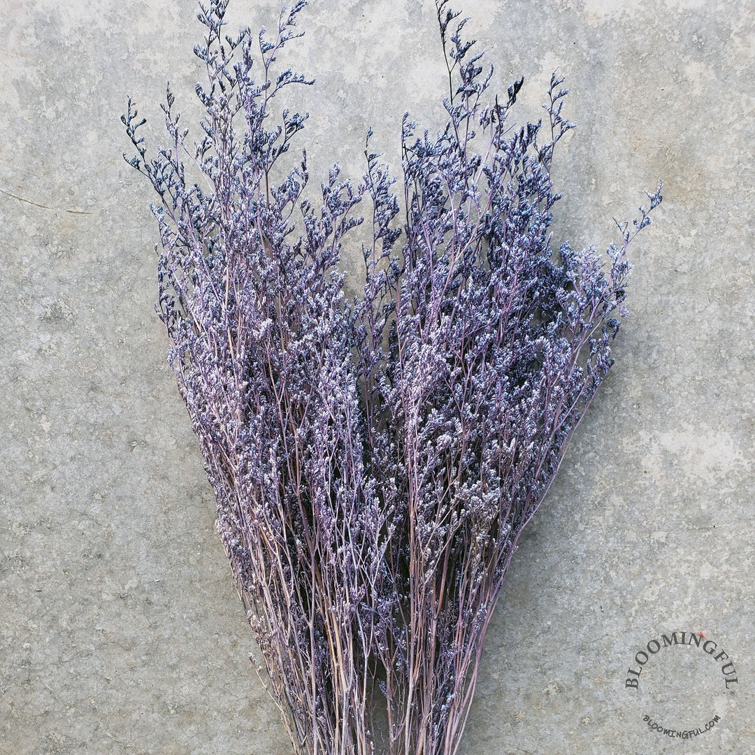 Preserved Caspia Limonium - Violet Blue (023) - BLOOMINGFUL - wedding, event, decor, gift, bouquet, arrangement, bridal, garland, fresh dried preserved artificial silk, birthday housewarming foliage