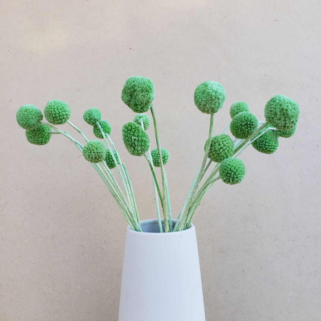 Preserved Dried Craspedia Billy Balls Pod Seed Round Globe Everlasting Bloomingful Wedding Event Decor Gift Bouquet Arrangement Bridal Artificial Silk Faux Birthday Housewarming Flower Filler Wholesale Bulk Red Orange Yellow White Green Blue Purple Gray Black Brown Beige Natural Cream Ivory
