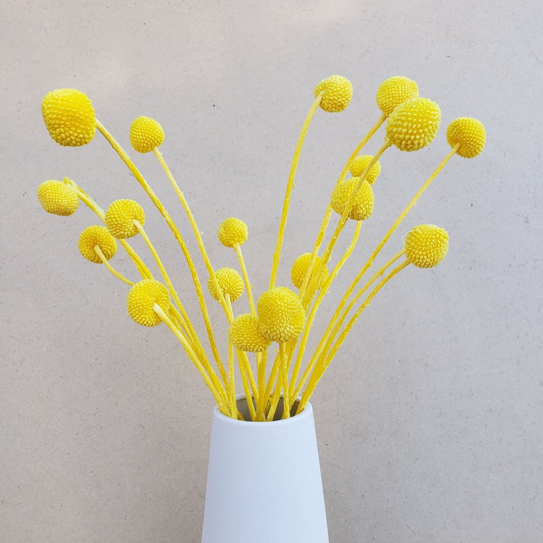 Preserved Dried Craspedia Billy Balls Pod Seed Round Globe Everlasting Bloomingful Wedding Event Decor Gift Bouquet Arrangement Bridal Artificial Silk Faux Birthday Housewarming Flower Filler Wholesale Bulk Red Orange Yellow White Green Blue Purple Gray Black Brown Beige Natural Cream Ivory