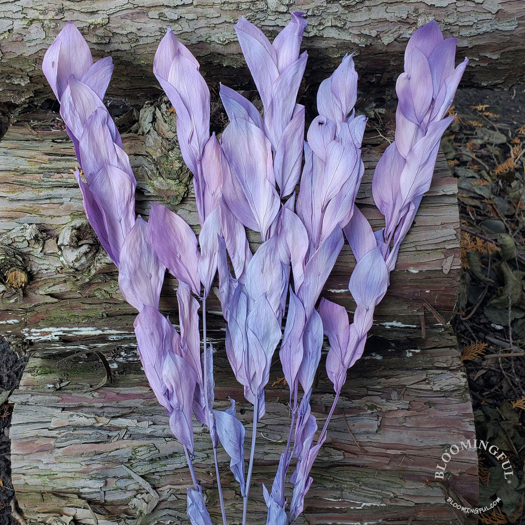 Preserved Israeli Ruscus - Soft Purple (003) - BLOOMINGFUL - wedding, event, decor, gift, bouquet, arrangement, bridal, garland, fresh dried preserved artificial silk, birthday housewarming foliage