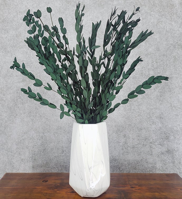 Preserved Parvifolia Eucalyptus [Green] - BLOOMINGFUL - wedding, event, decor, gift, bouquet, arrangement, bridal, garland, fresh dried preserved artificial silk, birthday housewarming foliage