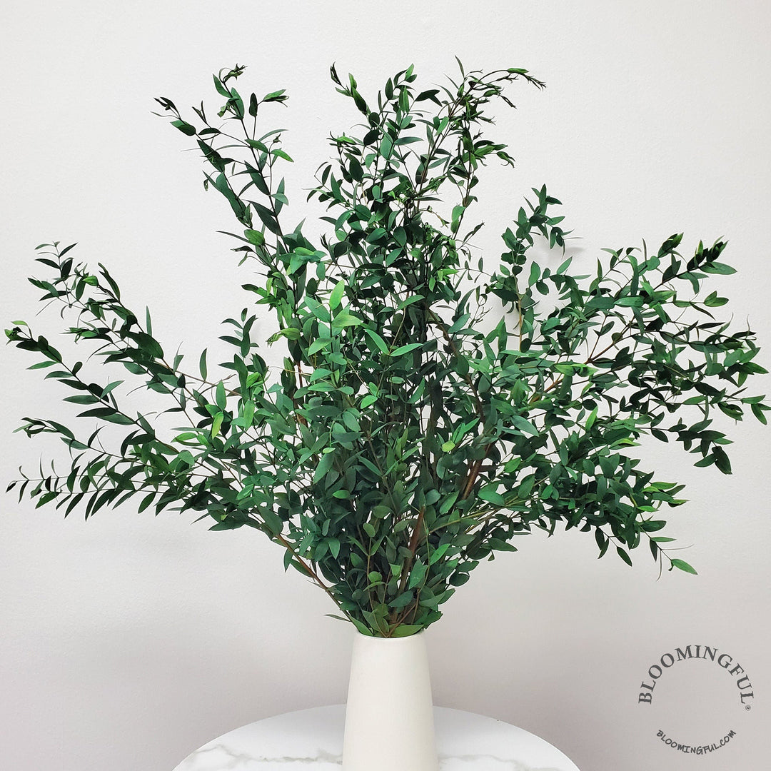 Preserved Parvifolia Eucalyptus - Green - BLOOMINGFUL.COM - wedding, event, decor, gift, bouquet, arrangement, bridal, garland, fresh dried preserved artificial silk, birthday housewarming foliage