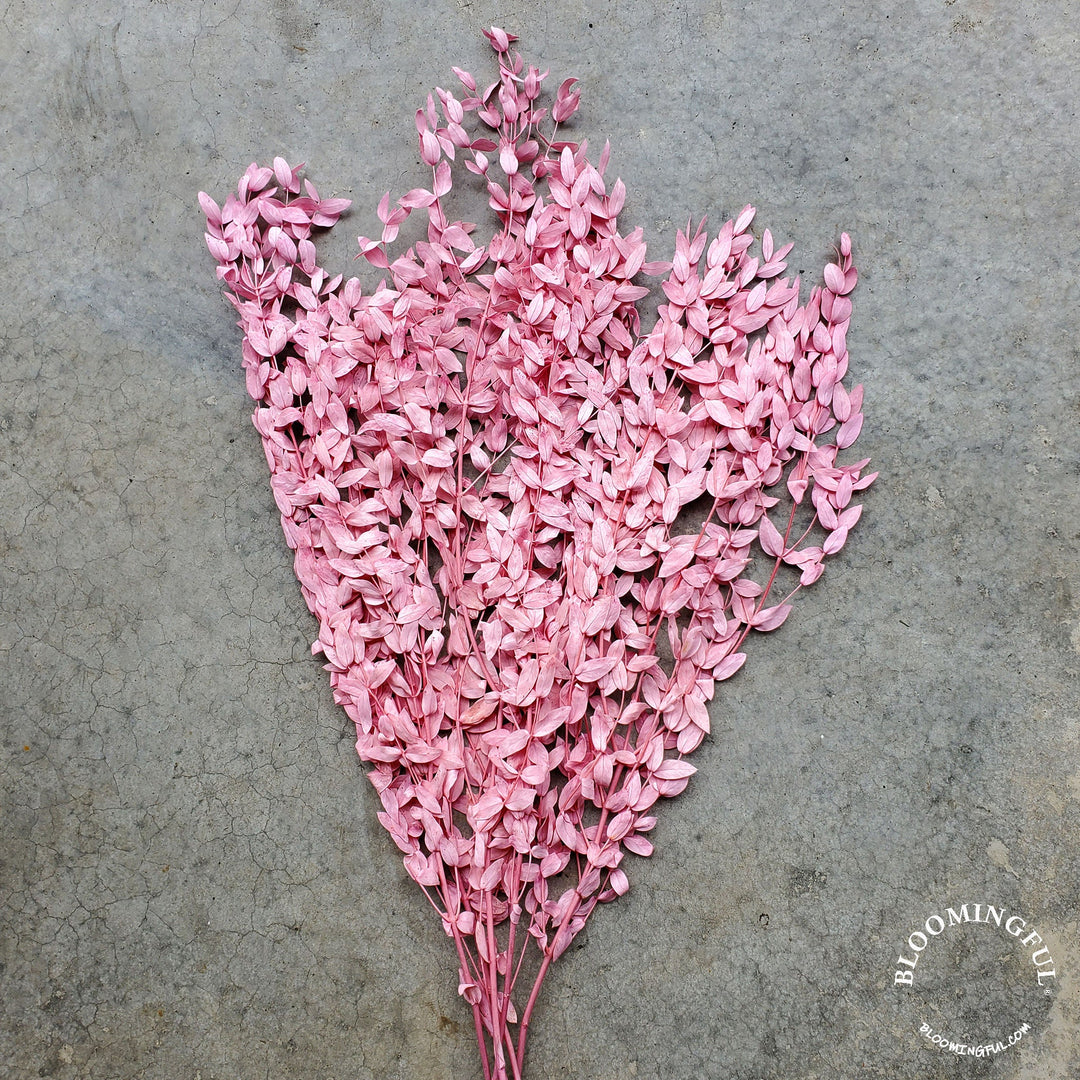 Preserved Parvifolia Eucalyptus - Light Pink - BLOOMINGFUL.COM - wedding, event, decor, gift, bouquet, arrangement, bridal, garland, fresh dried preserved artificial silk, birthday housewarming foliage