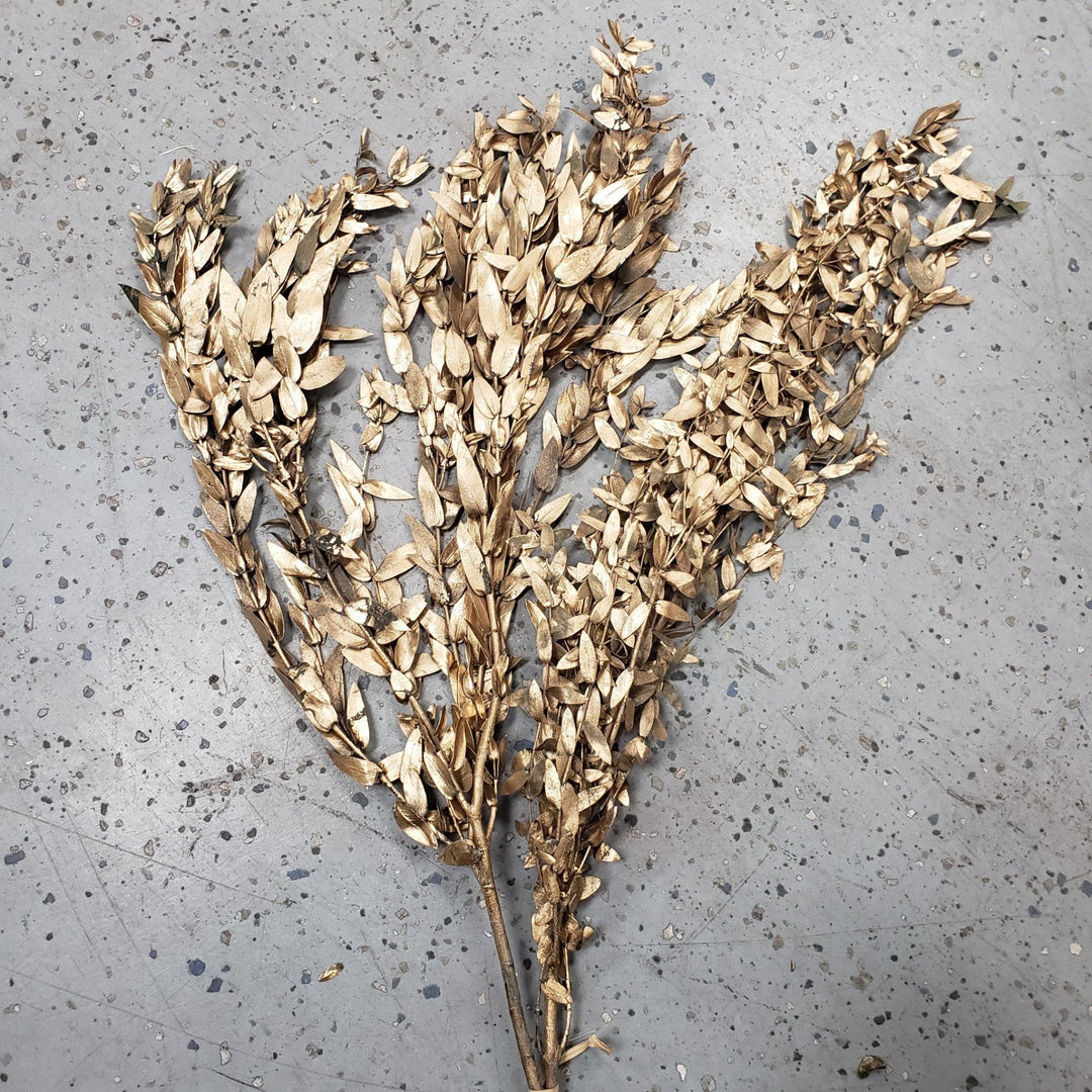 Preserved Parvifolia Teardrop Eucalyptus Bunches - Gold (Imperfects Collection) - BLOOMINGFUL - wedding, event, decor, gift, bouquet, arrangement, bridal, garland, fresh dried preserved artificial silk, birthday housewarming foliage