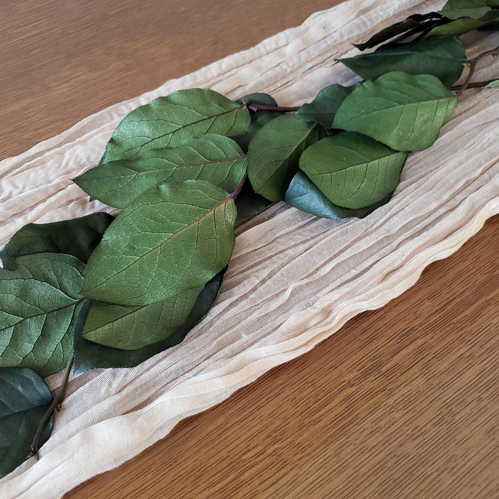 Preserved Salal LemonLeaf - Natural Green - BLOOMINGFUL.COM - wedding, event, decor, gift, bouquet, arrangement, bridal, garland, fresh dried preserved artificial silk, birthday housewarming foliage