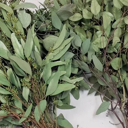 Preserved Seeded Eucalyptus - Green - BLOOMINGFUL - wedding, event, decor, gift, bouquet, arrangement, bridal, garland, fresh dried preserved artificial silk, birthday housewarming foliage
