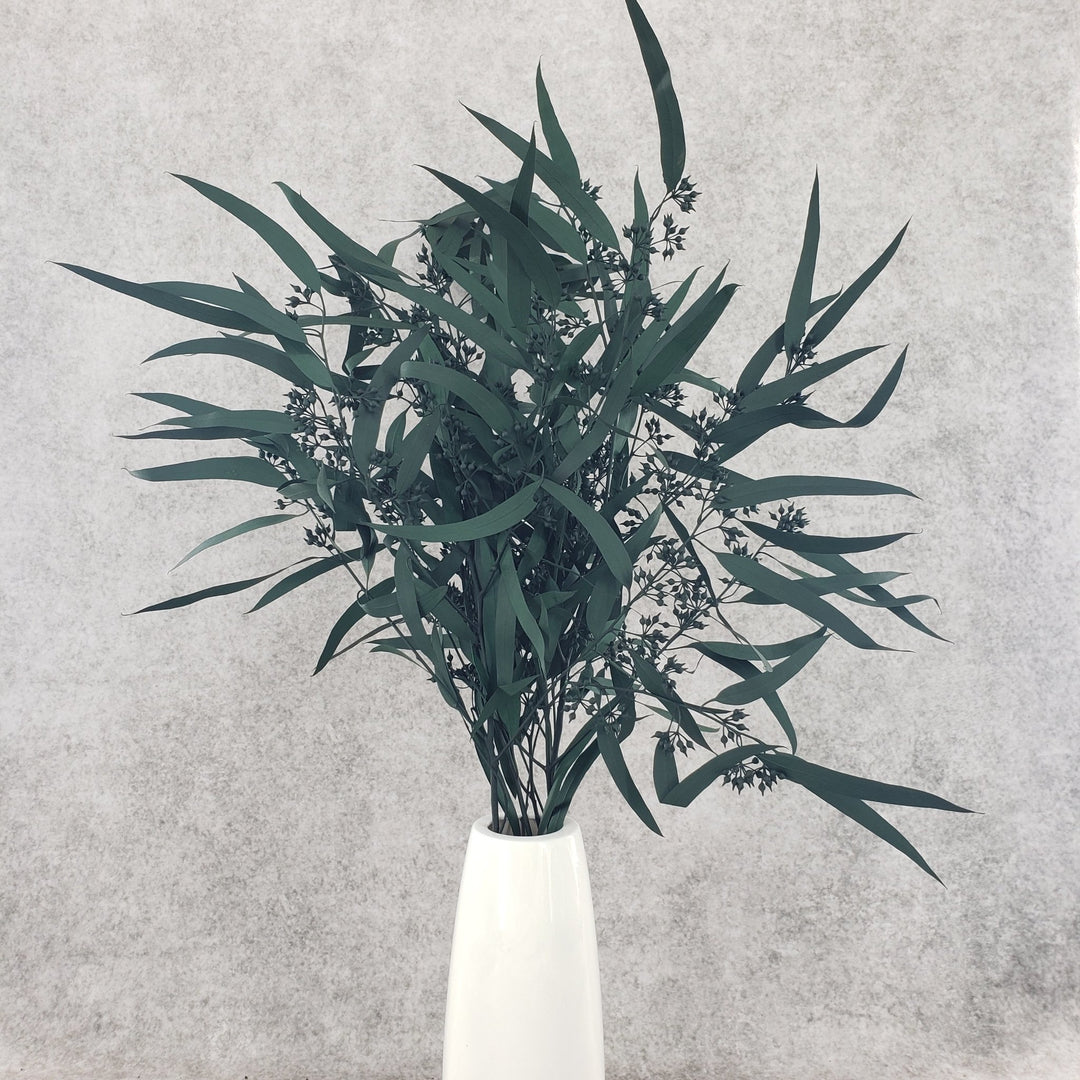 Preserved Seeded Weeping Willow Eucalyptus Bunches - Dark Green - BLOOMINGFUL - wedding, event, decor, gift, bouquet, arrangement, bridal, garland, fresh dried preserved artificial silk, birthday housewarming foliage