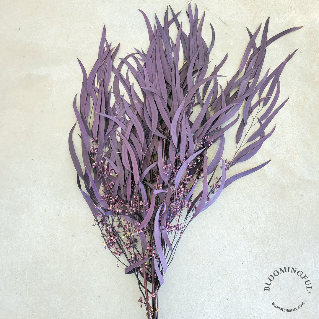 Preserved Seeded Weeping Willow Eucalyptus Bunches - Purple - BLOOMINGFUL.COM - wedding, event, decor, gift, bouquet, arrangement, bridal, garland, fresh dried preserved artificial silk, birthday housewarming foliage