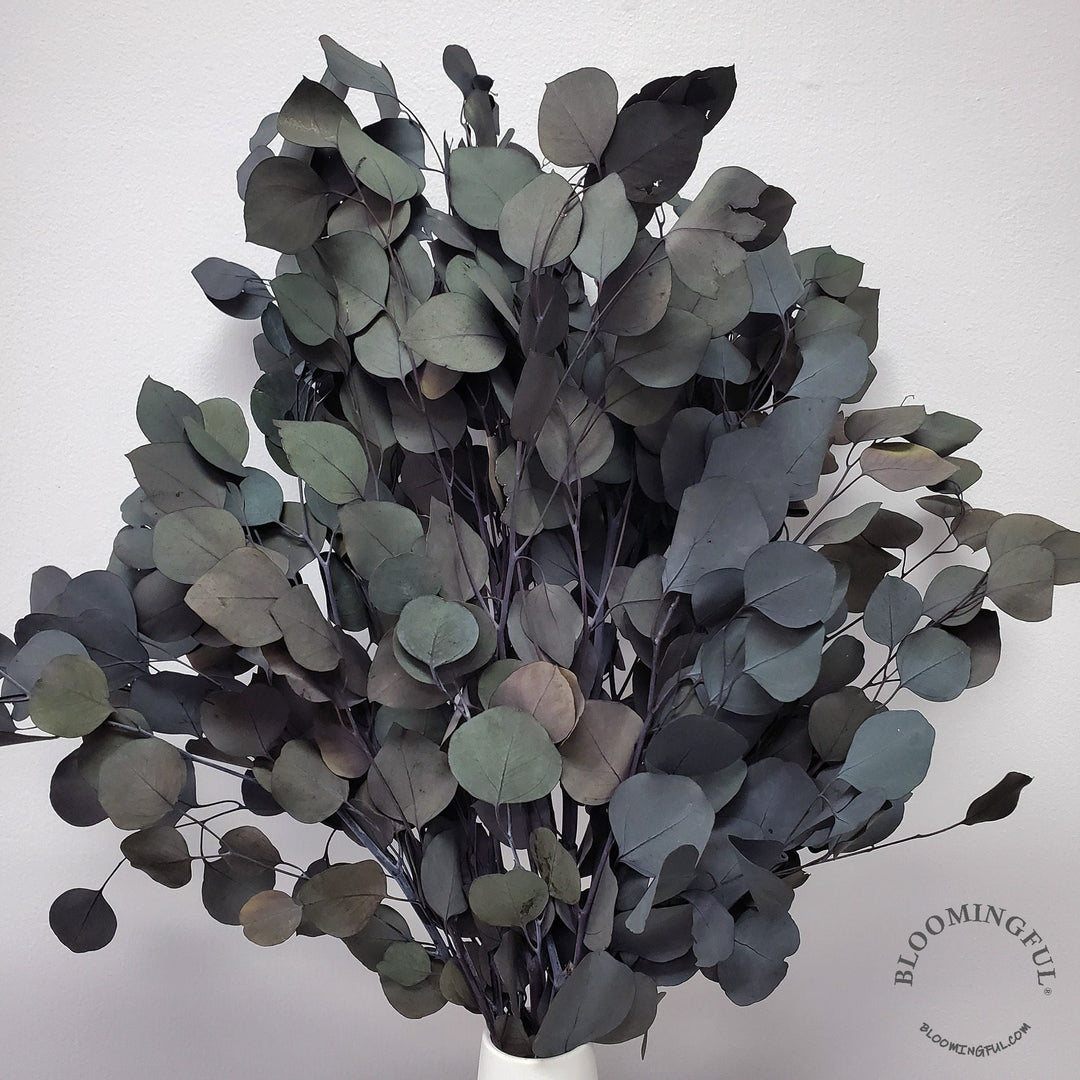 Preserved Silver Dollar Eucalyptus - Dark Green-Blue-Gray - BLOOMINGFUL.COM - wedding, event, decor, gift, bouquet, arrangement, bridal, garland, fresh dried preserved artificial silk, birthday housewarming foliage
