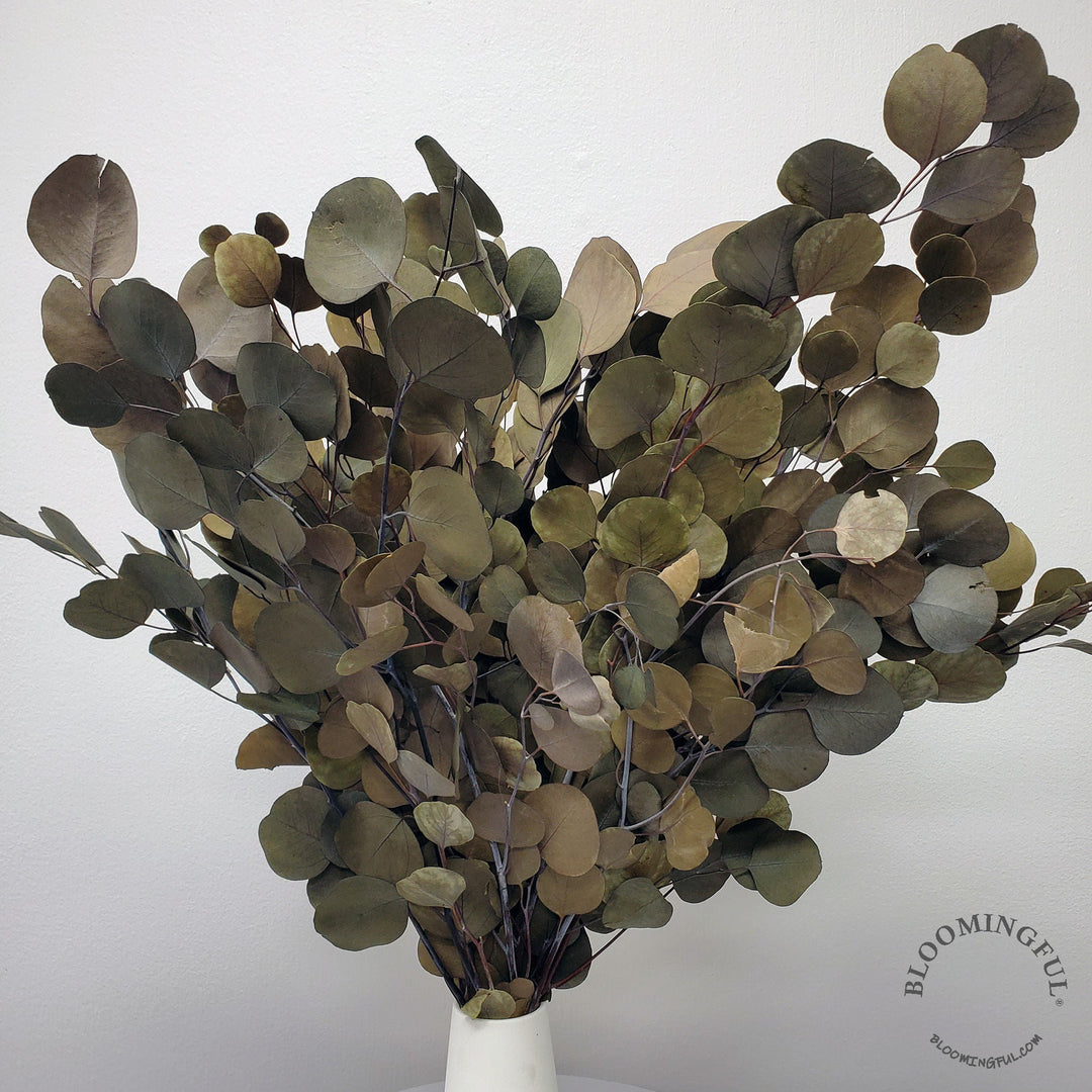 Preserved Silver Dollar Eucalyptus - Olive Green - BLOOMINGFUL.COM - wedding, event, decor, gift, bouquet, arrangement, bridal, garland, fresh dried preserved artificial silk, birthday housewarming foliage
