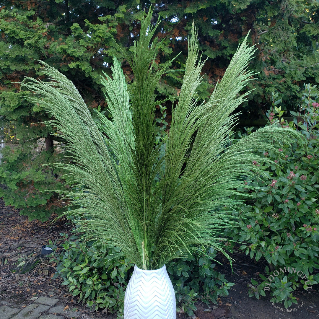 Silky Large Pampas (3-4ft) - Emerald Green - BLOOMINGFUL - wedding, event, decor, gift, bouquet, arrangement, bridal, garland, fresh dried preserved artificial silk, birthday housewarming foliage