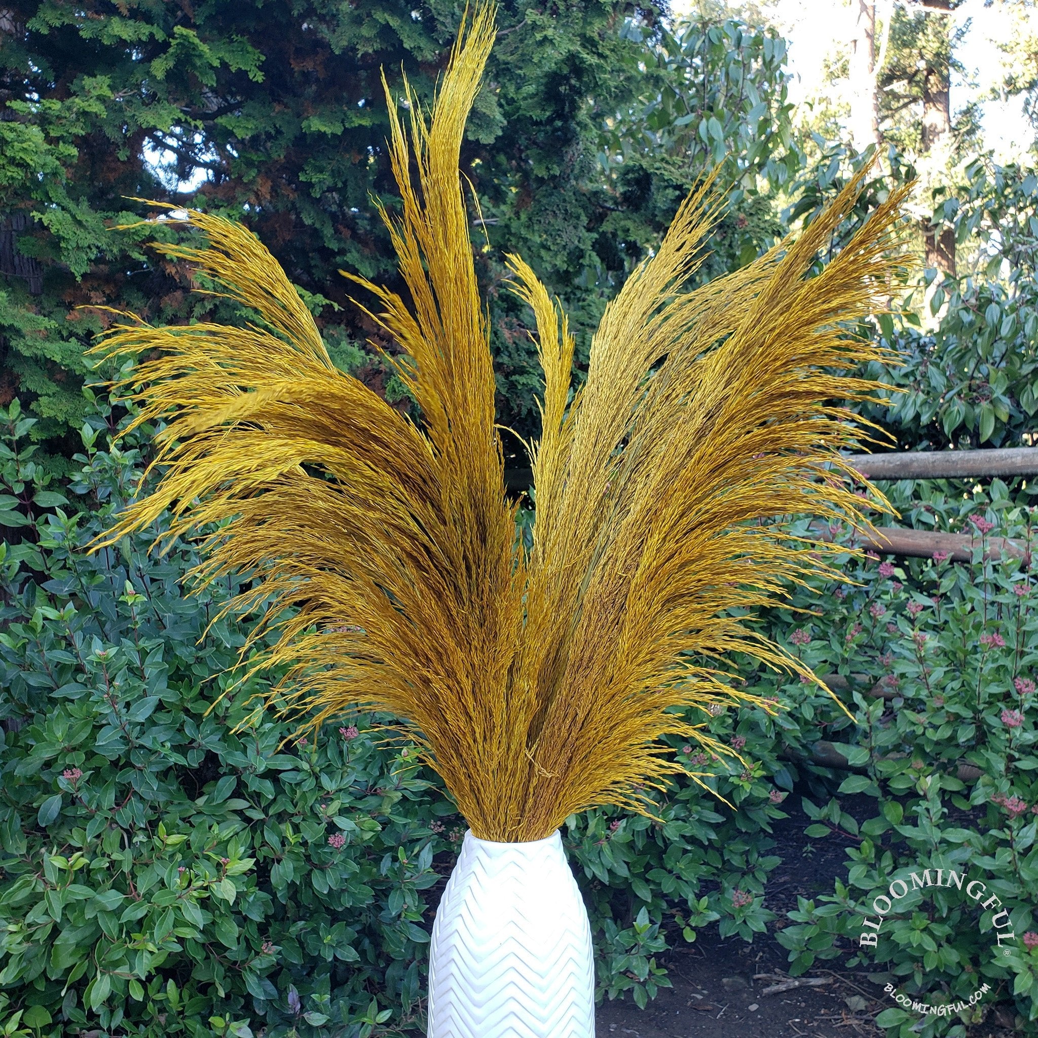 Silky Large Pampas (3-4ft) - Golden Yellow - BLOOMINGFUL - wedding, event, decor, gift, bouquet, arrangement, bridal, garland, fresh dried preserved artificial silk, birthday housewarming foliage