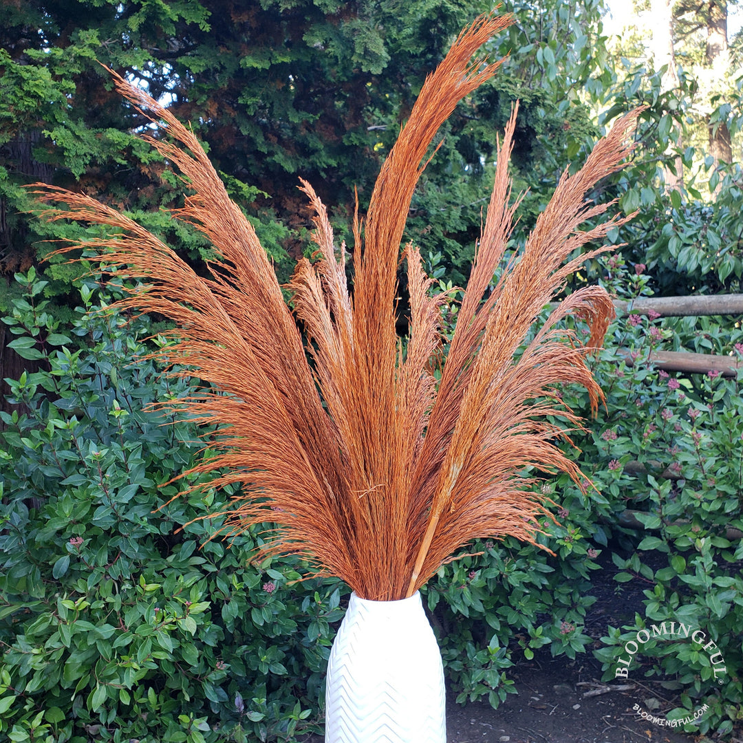 Silky Large Pampas (3-4ft) - Orange Terracotta - BLOOMINGFUL - wedding, event, decor, gift, bouquet, arrangement, bridal, garland, fresh dried preserved artificial silk, birthday housewarming foliage