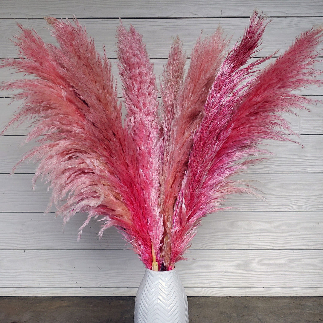 X-Large Dried Pampas Grass (3-4ft), Large Fluffy Plume - Pink - BLOOMINGFUL.COM - wedding, event, decor, gift, bouquet, arrangement, bridal, garland, fresh dried preserved artificial silk, birthday housewarming foliage