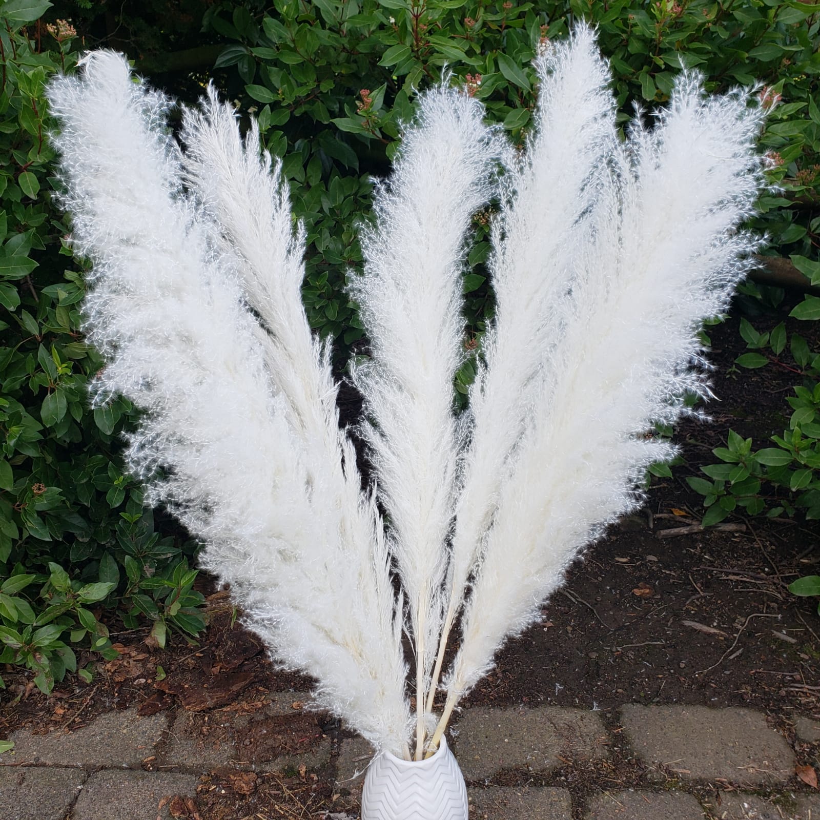 X-Large Dried Pampas Grass (3-4ft), Large Fluffy Plume - White - BLOOMINGFUL.COM - wedding, event, decor, gift, bouquet, arrangement, bridal, garland, fresh dried preserved artificial silk, birthday housewarming foliage